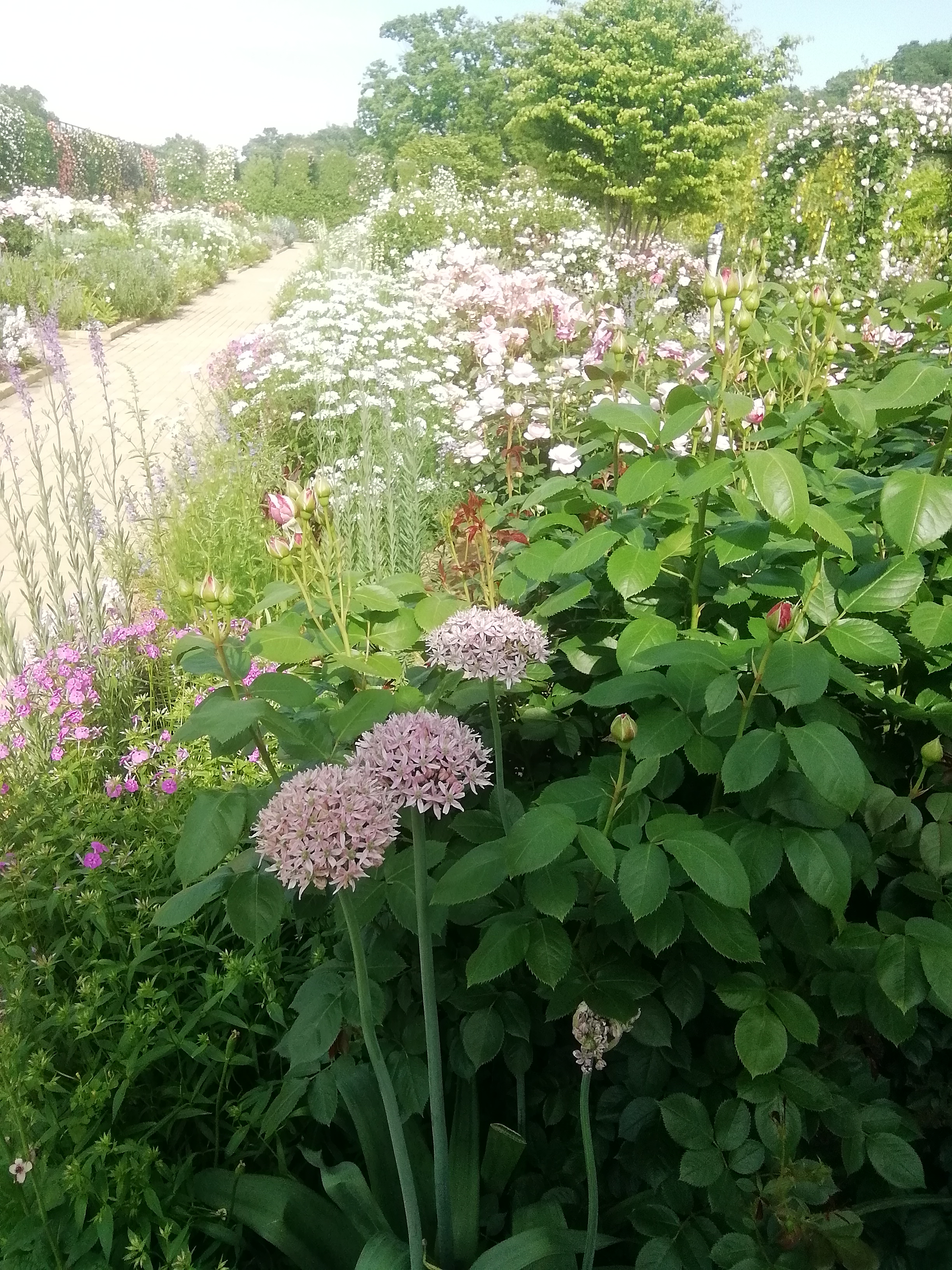 A beautiful garden path in rural Japan